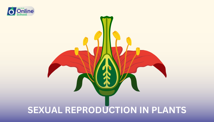 Lesson 07: Sexual Reproduction in Plants